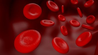 Conhecendo a hemofilia e como superá-la